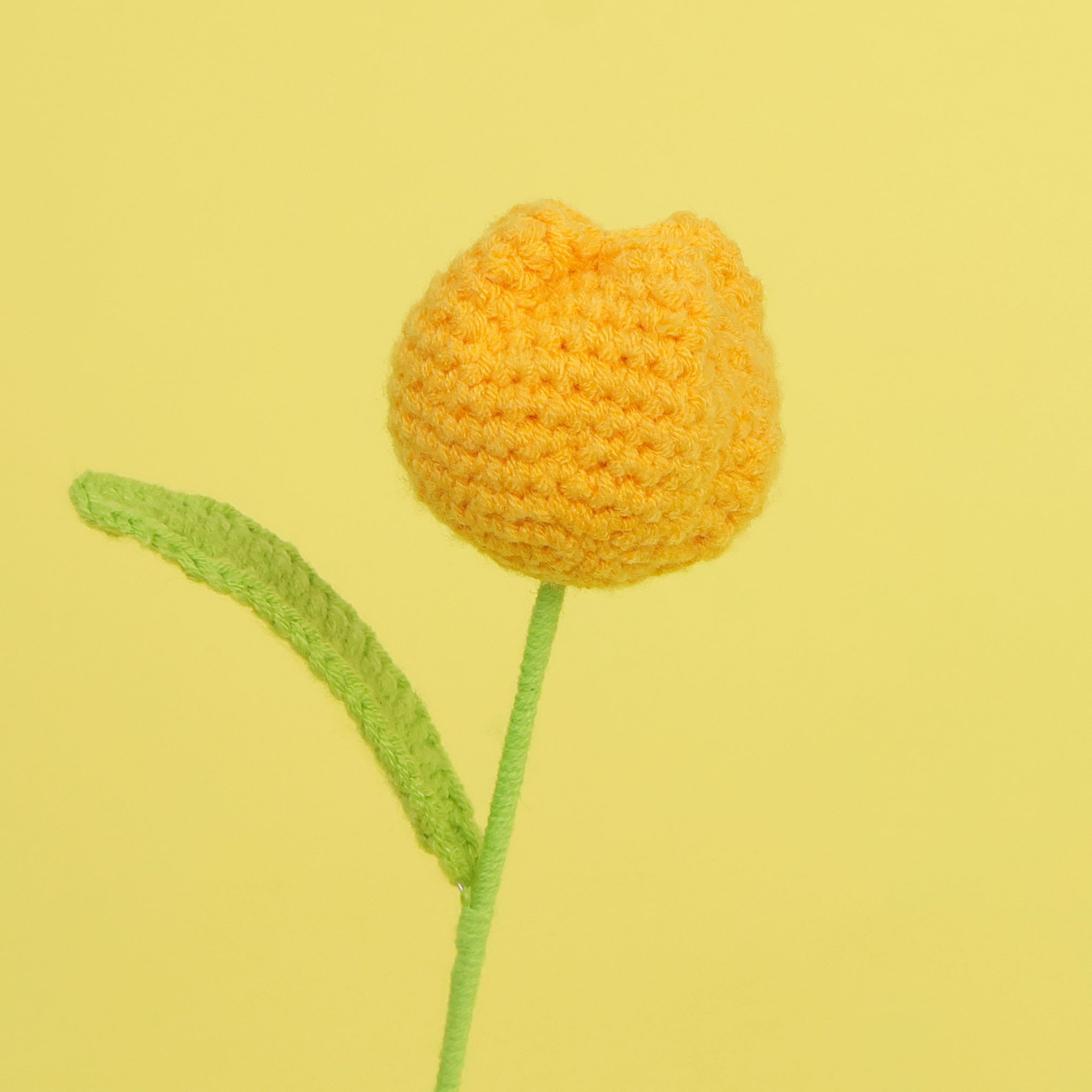 Tulipe jaune-gingembre à grosse fleur unique