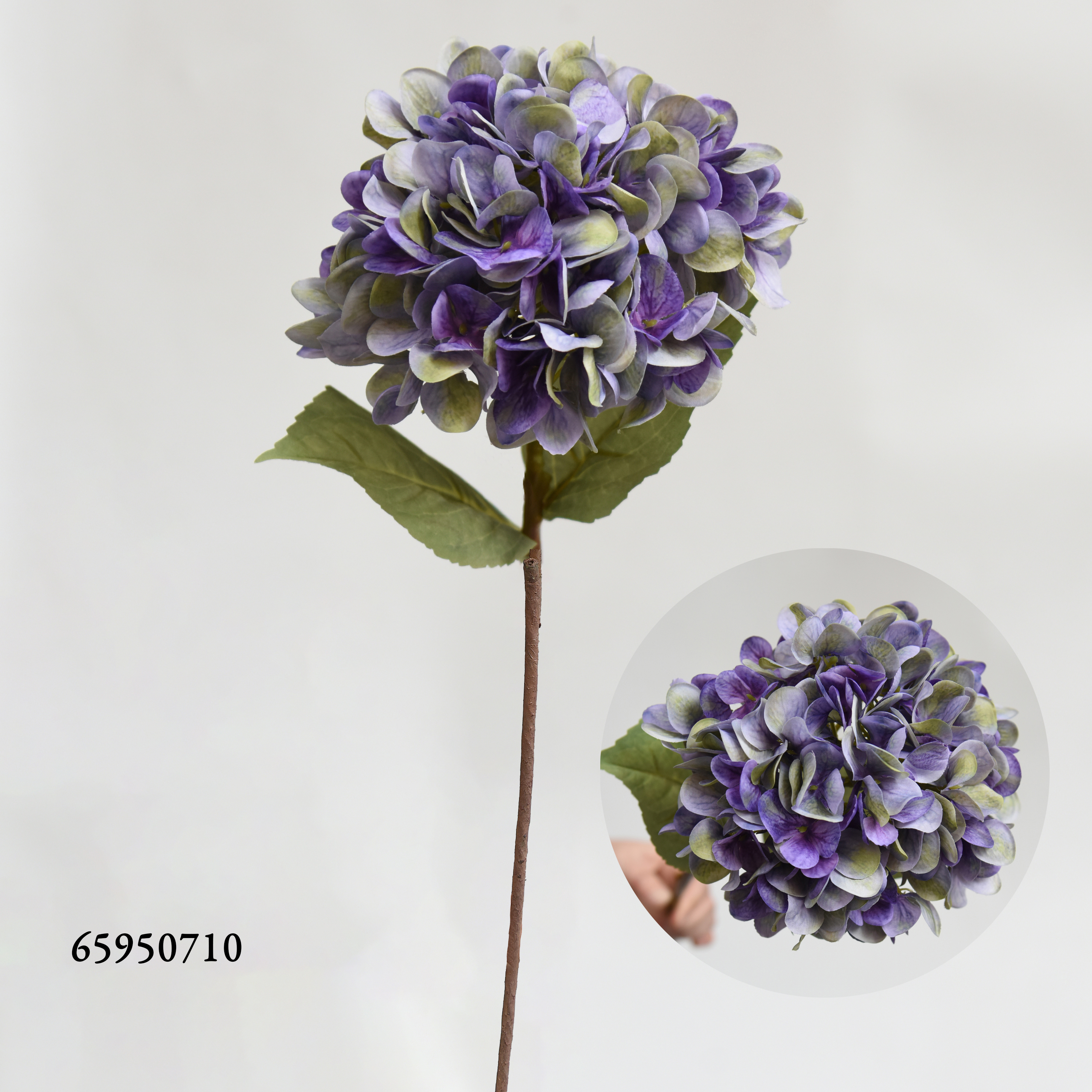 Violet710