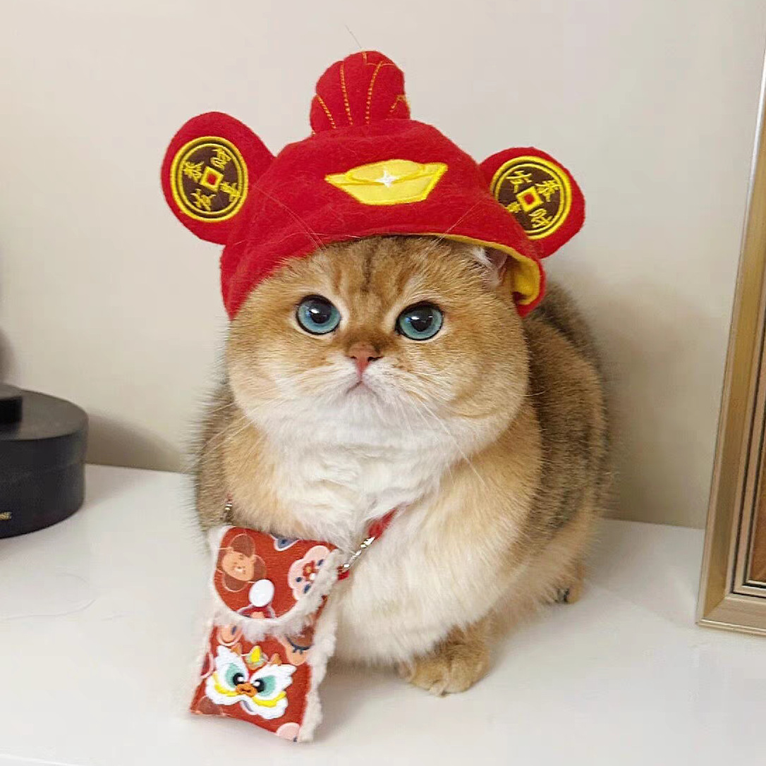Chapeau du dieu de la richesse