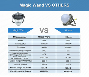 50w 70w危险区1区2类1 2照明平台灯Ip65吊坠发光二极管防爆灯具