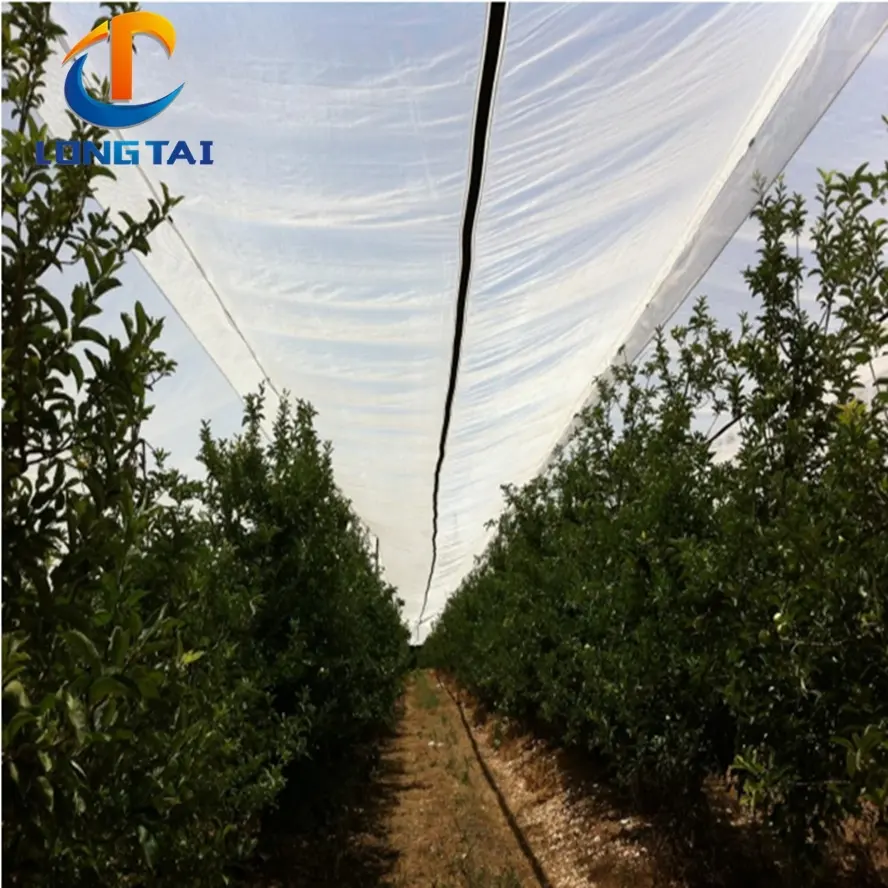 UV teated 100% nuevo HDPE virgen planta protección anti Red de granizo/fruta Ave red de protección