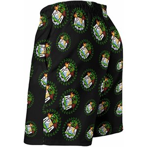 Мужские быстросохнущие S-4XL пляжные шорты - Product Image 2