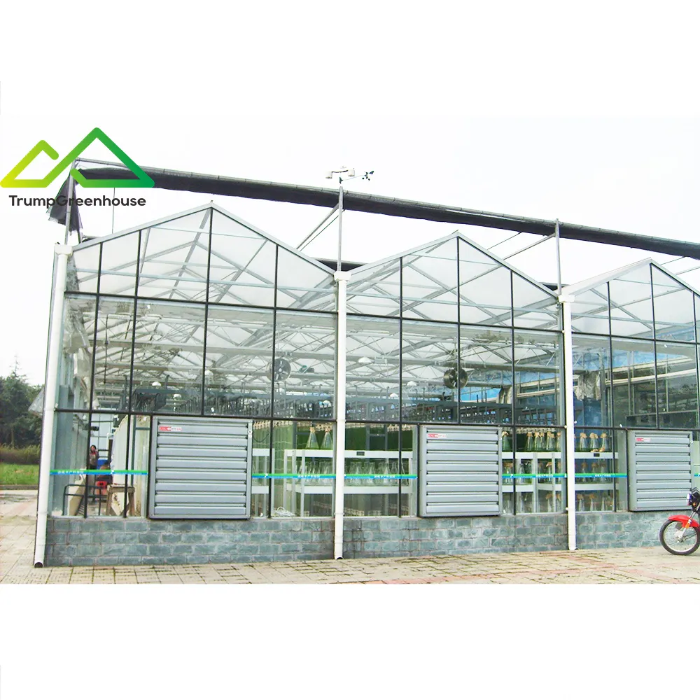 水耕栽培システムを備えたVenloタイプ強化ガラス温室中国の専門メーカー