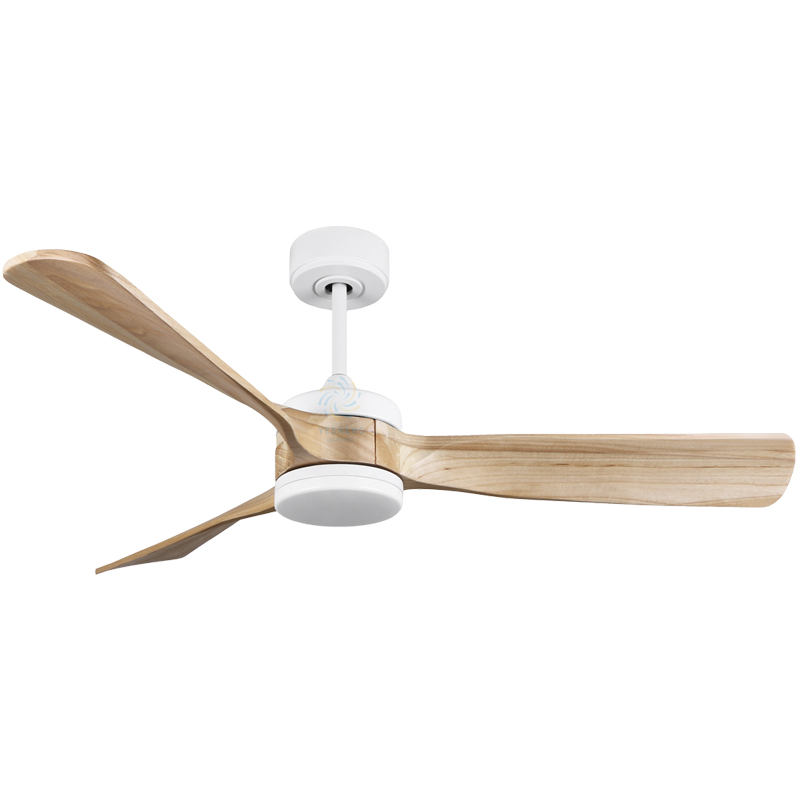 ขาว + เม็ดไม้