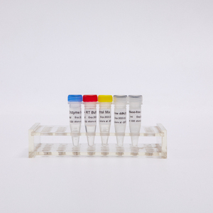 RT-PCR Mix RNA ters transkriscription kiti miRNA 1st Strand cDNA sentez kiti kök döngü - Product Image 4