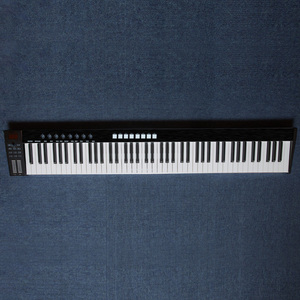 Controlador de teclado MIDI maestro profesional, dispositivo de 49 teclas, Plug and Play, USB, mini usb, para producción de música - Product Image 3
