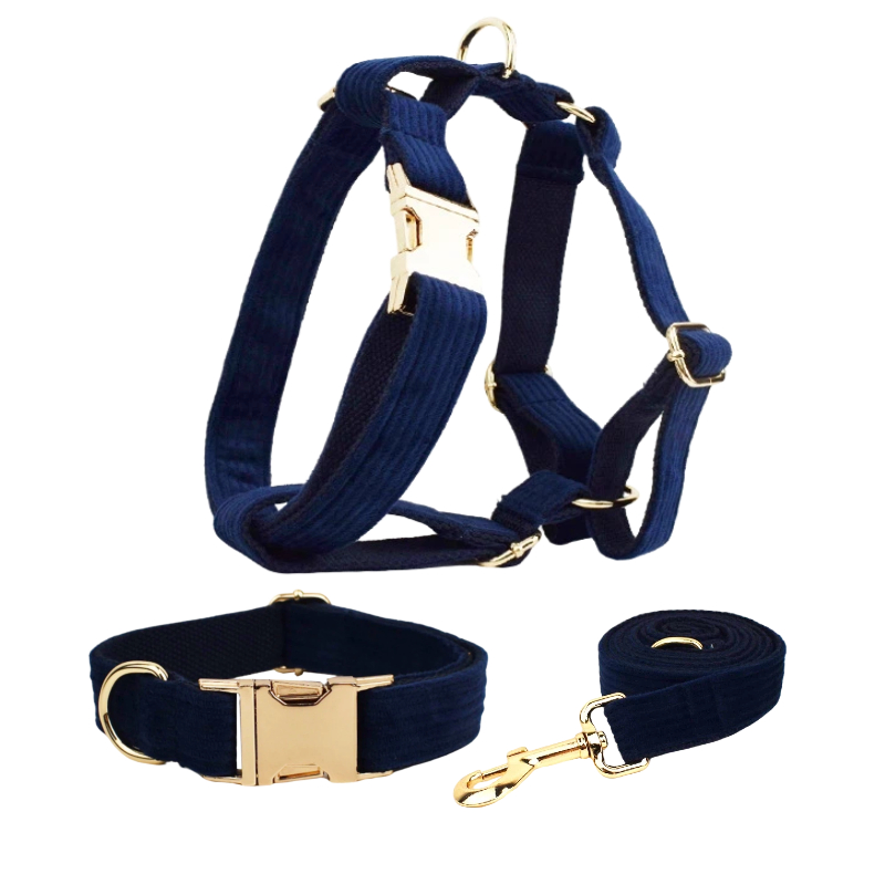 Bleu marine