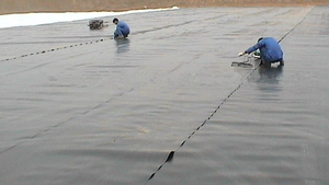 HDPE geomembran 1500 mikron 2mm su geçirmez PE PVC astar baraj balık gölet karides gölet için Model numarası 1mm - Product Image 6