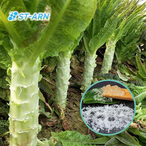 Plantwaterretentiongel Resina Polímero Estabilizador del suelo Hidrogel Biodegradable Agro para cultivo de vegetales - Product Image 6