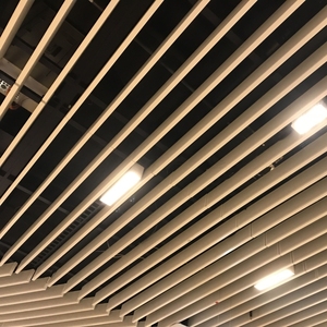 医院造型天花板瓷砖现代大厅假天花板设计阳台铝天花板 - Product Image 5