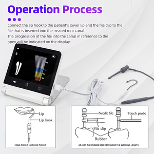 Mini Dental Endo <span class=keywords><strong>Apex</strong></span> <span class=keywords><strong>Locator</strong></span> Zahnmedizin Endodontie Wurzelkanal messung Wurzelkanal Befindet Instrumente Zahnmedizin isches Werkzeug - Product Image 5