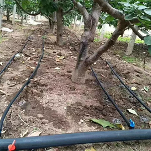 免费设计有竞争力的价格高质量完整灌溉系统滴灌系统1公顷 - Product Image 1