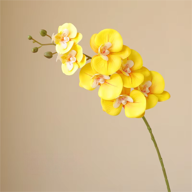 Jaune