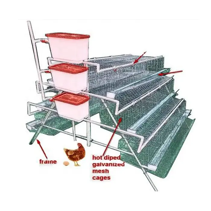 Fabbrica agricola fornita gabbia per animali gabbie per polli da carne pollame strato di pollo utilizzando