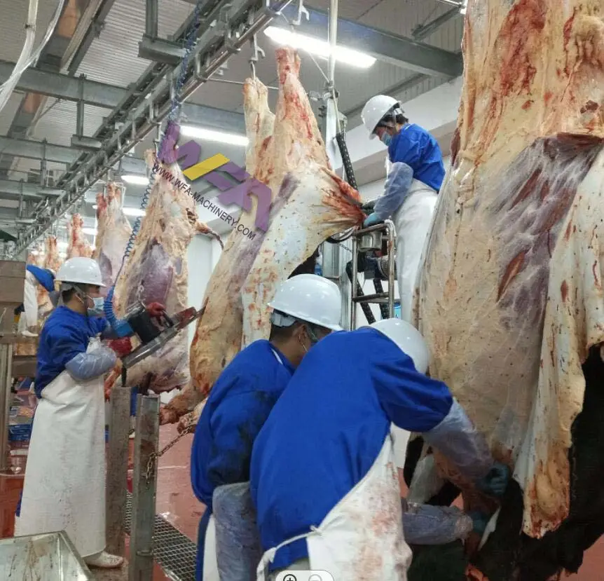大型動物の食肉処理場用の牛と羊の食肉処理装置