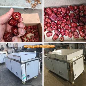 Automatische Trocken daten Lochfraß Obstkern Entfernungs maschine Jujube Samen entfernen Maschine