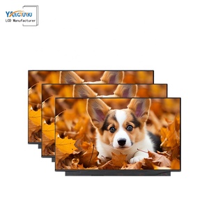 Factory <strong>Wholesale</strong> M133NWFC R3 13.3 Inch <strong>LCM</strong> TFT LCD Screen 500nits LED Backlit with RGB Interface for Industrial Products - Product Image 6