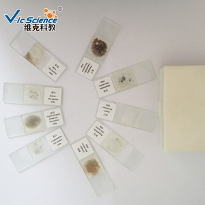 Microscopio para preparar guías, juego de 24 piezas, sección fina profesional de rocas - Product Image 3