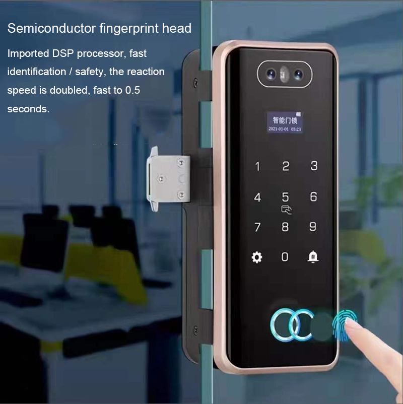 Competitive Price G5S 3D Face Recognition Glass Door Lock Biometric Passcode Fingerprint Smart Glass Door Lock