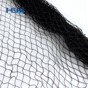 Nylon Anti Pheasant <strong>Net</strong> Anti Bird <strong>Net</strong> Catching Bird <strong>Net</strong> - Product Image 2
