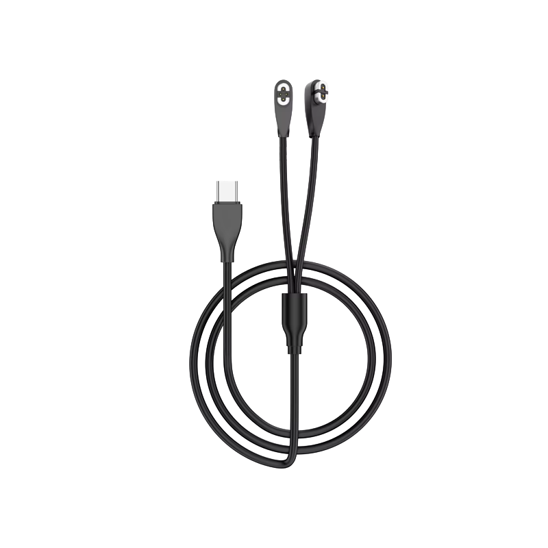 Type-C to 2Pin+4Pin Black