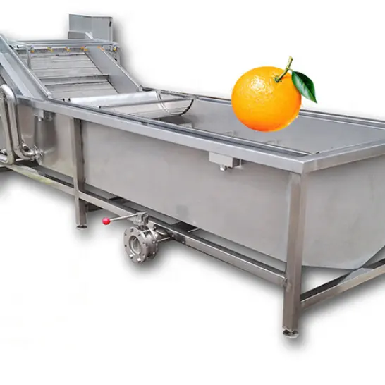 Automatische Fruitgroenten Tamato Wassen Reinigings-En Sorteermachine Kleine Verwerkingsfabriek Tomatenpuree Productielijn