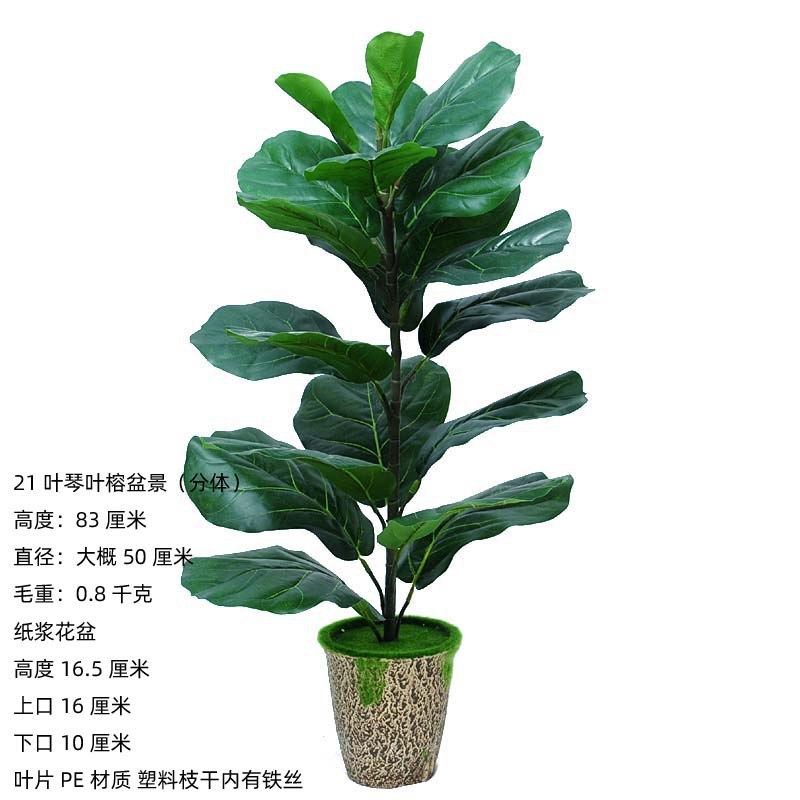 Bassin de pulpe de qin ye ficus de 21 feuilles (fendu) 83cm