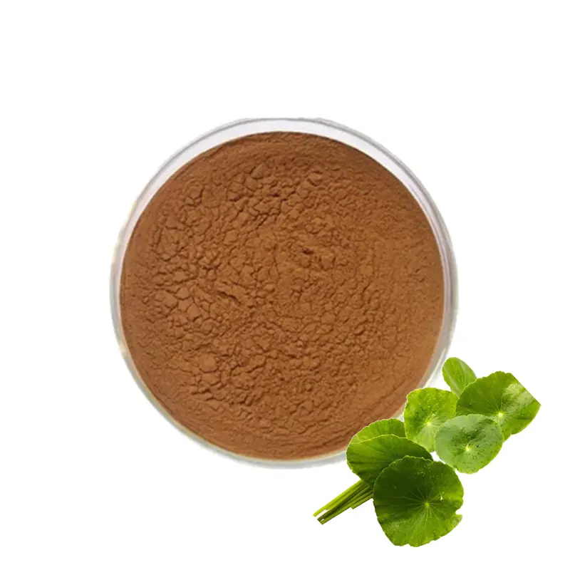 Voedingssupplement Gotu Kola Extract Hydrocotyle Asiatica Extract Top Kwaliteit Poeder