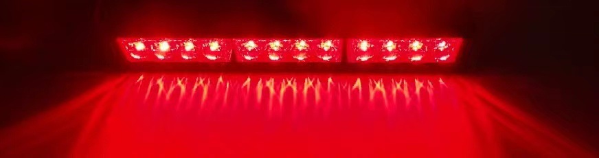 Rouge