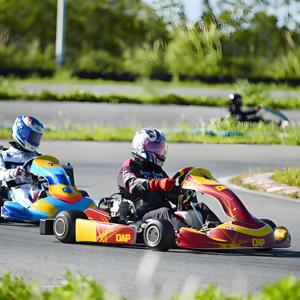 Quantum <strong>Computing</strong> ECU Racing Kart - Self-Optimizing Torque <strong>Distribution</strong>