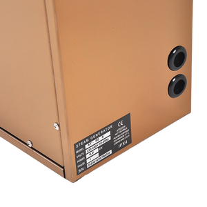 High Quality Golden Steam Generator for Wet Steam Sauna Room Sauna Steam Generator