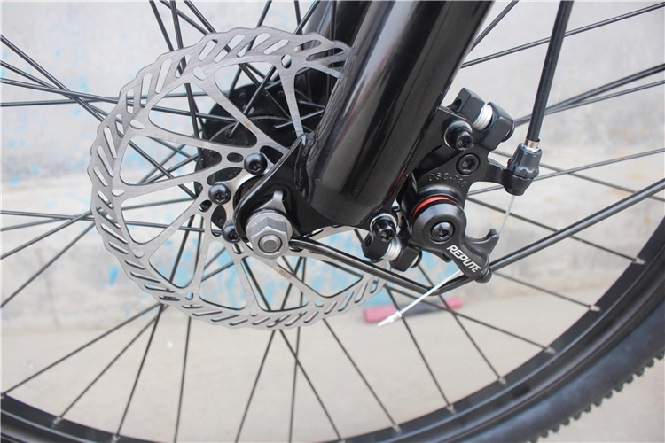 Europe warehouse hot sale mountain fat tire 26inch electric bicycle e bike