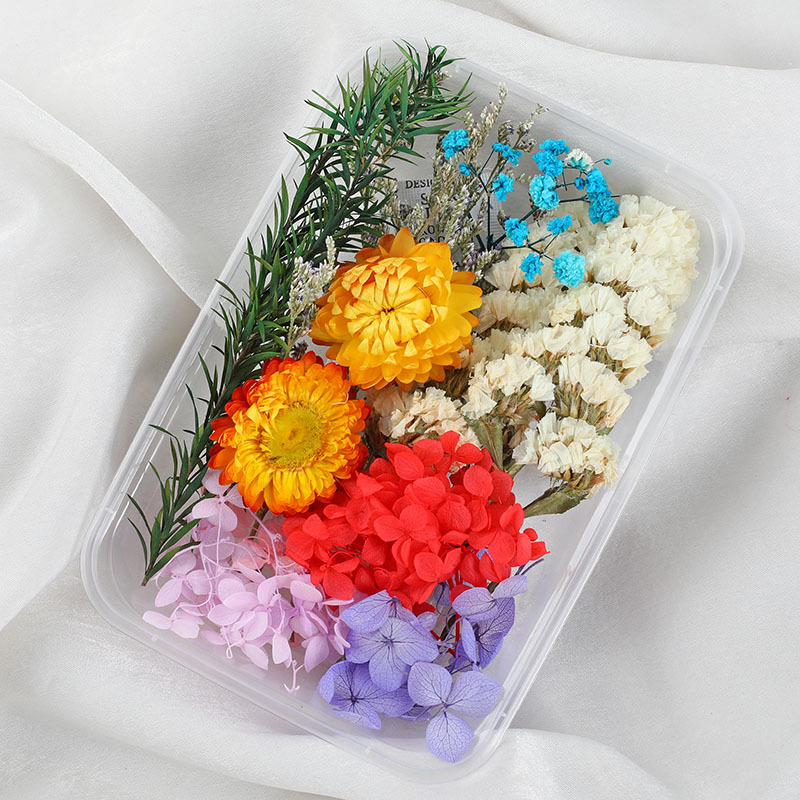 สีสัน-1