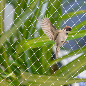 Farm Orchard Fruit Tree Bush Mango Cherry Tree Grape Vine Fruit Tree Protection 25mm*25mm Mesh Size White Anti <strong>Bird</strong> Net