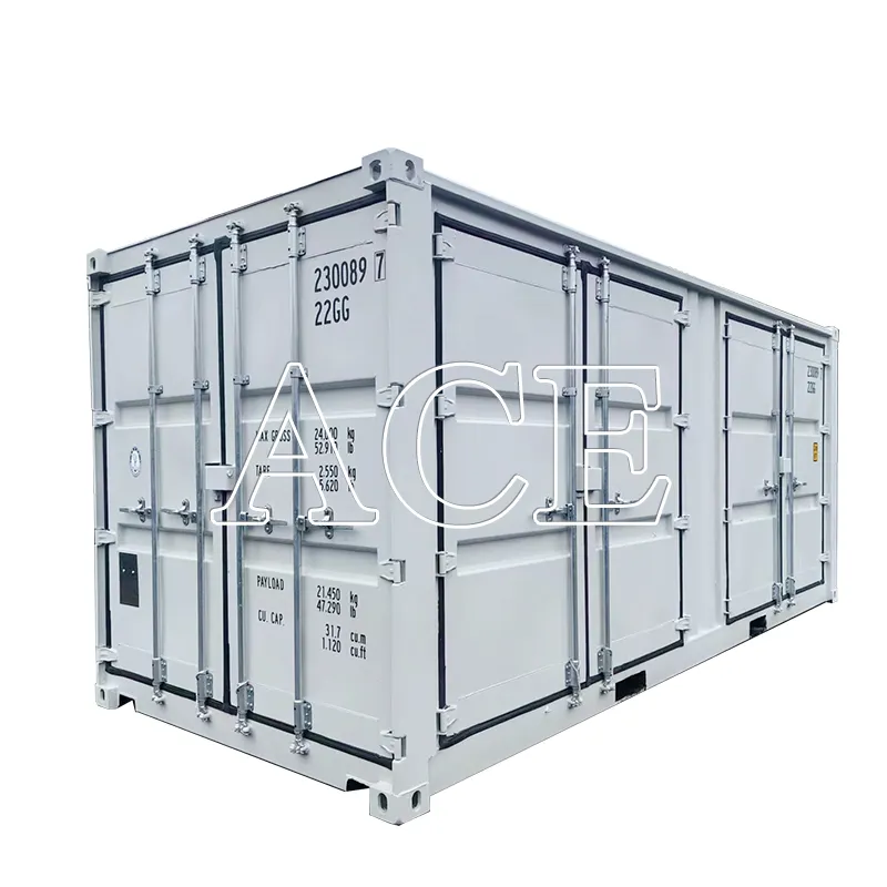 Multi Side Doors Opening 20 Feet Length 20ft 20 foot Open Side Dry Cargo Shipping Container with Side Door Price