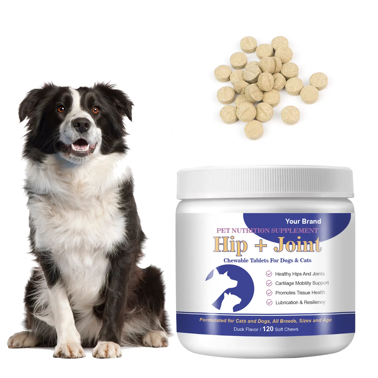 Oem hip và doanh bổ sung chó Glucosamine cộng với máy tính bảng cho chó sức khỏe bổ sung