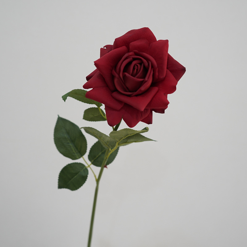 Rouge