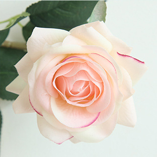 rosa chiaro