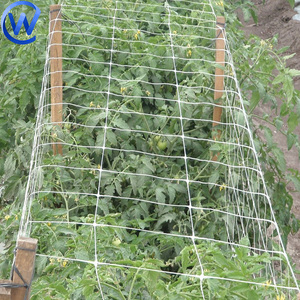 Trellis Netting Roll Blumen Spalier Erbsen netz Hdpe Gemüse pflanz netz 15 Cm Vertikales Netz für Blumen und Pflanzen - Product Image 3