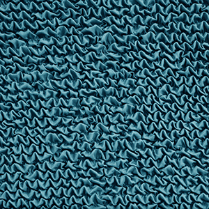 Sherpa blu