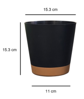 153mm(6.02in)