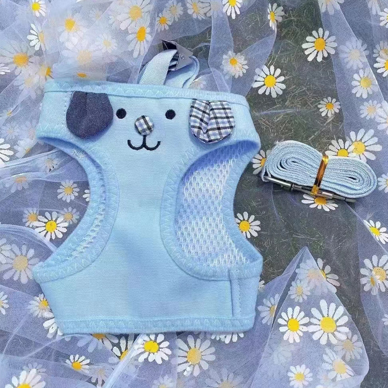 Correa azul para orejas de oso, pecho y espalda.