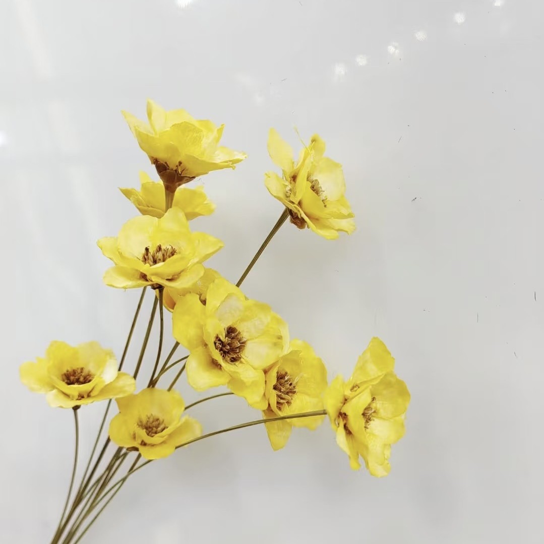 Yellow-10 pieces per pack