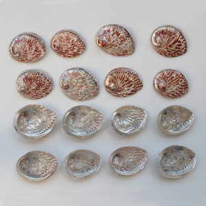 10-13cm Polishing Red Abalone <strong>Shell</strong> Natural <strong>Shell</strong>&amp;Conch Home Decoration Wedding Landscape Decoration Burning Sage <strong>Shell</strong> - Product Image 6