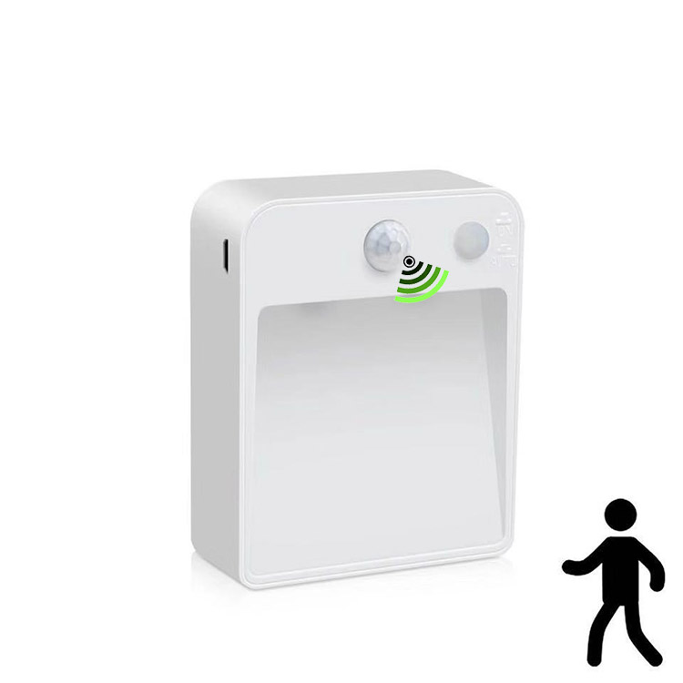 2022 PIR motion sensor night light 2 LED wall-mounted wardrobe closet bedroom cabinet human body sensor night light