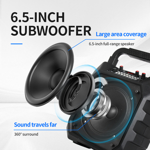 K6S Altavoz Activo Multifuncional Pasivo con Efecto de Luz RGB Consola Amplificador de Potencia Sistema Pa Juego de Karaoke - Product Image 4