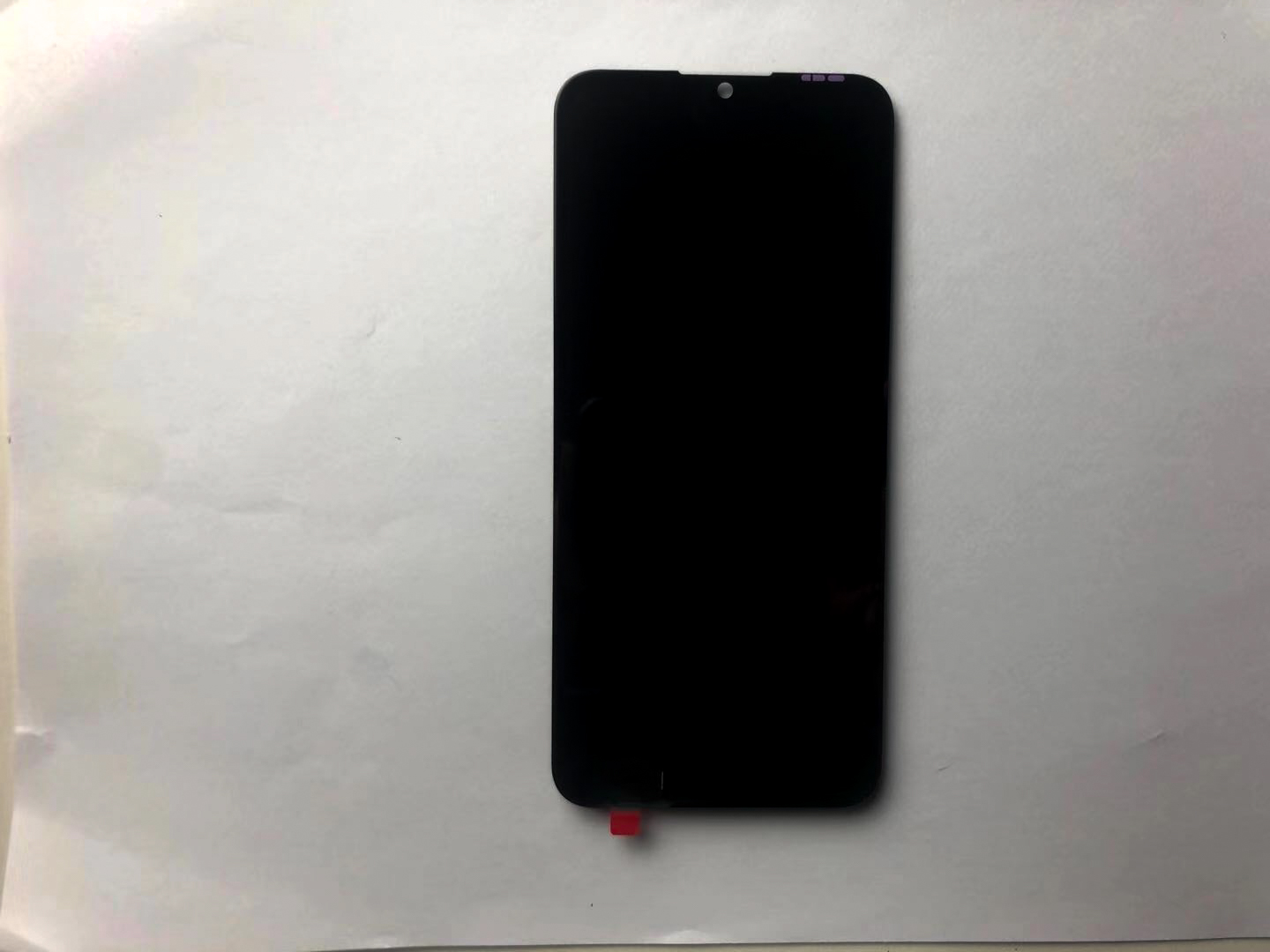 Y6 2019
