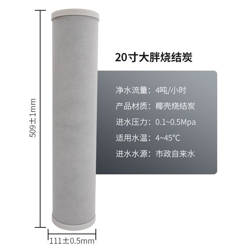 Grand élément filtrant CTO de 20 pouces