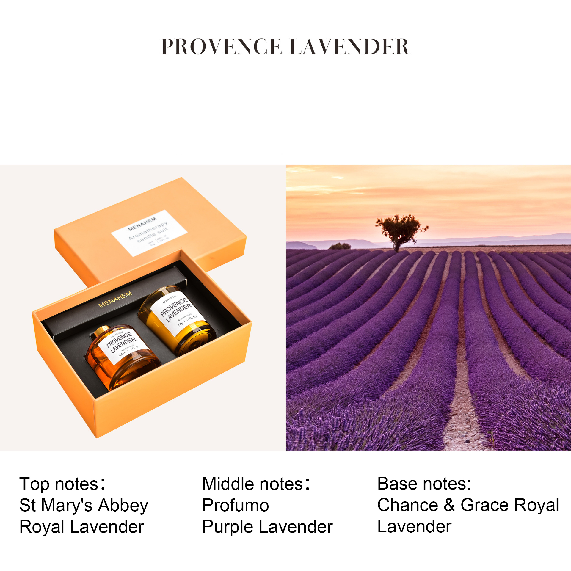 LAVANDA DE PROVENCIA
