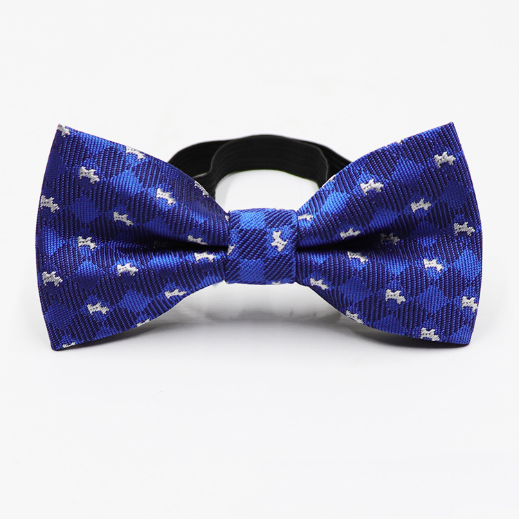 Cucciolo bianco a quadretti blu